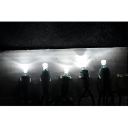 Forever Bright Kellogg Plastics 025 in Holiday  Christmas Indoor  Outdoor LED Pure white 45313